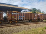 RUMO GDT-353259-3